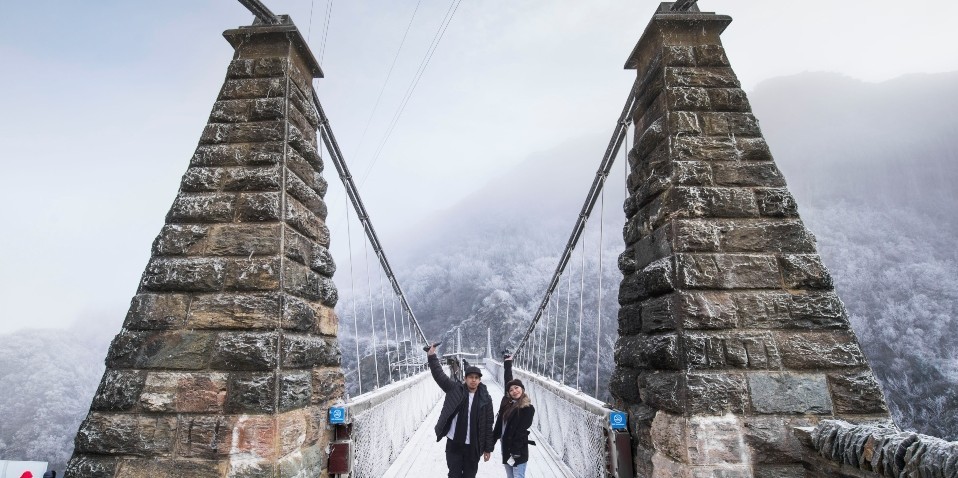 Best of Queenstown Sightseeing Tour -Altitude Tours