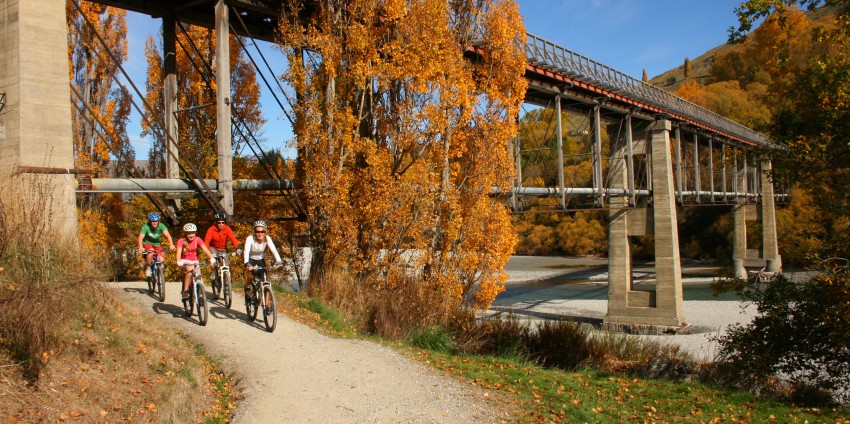 Bike Tours - Around the Basin