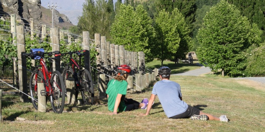 Bike Tours - Bike the Wineries