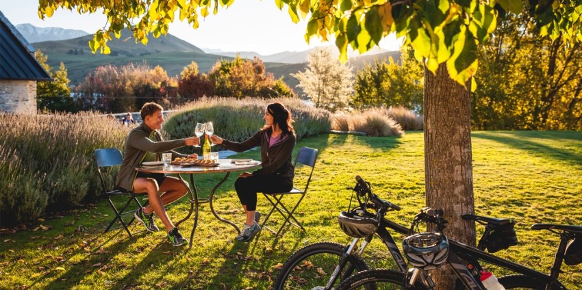 Bike Tours - Bike the Wineries