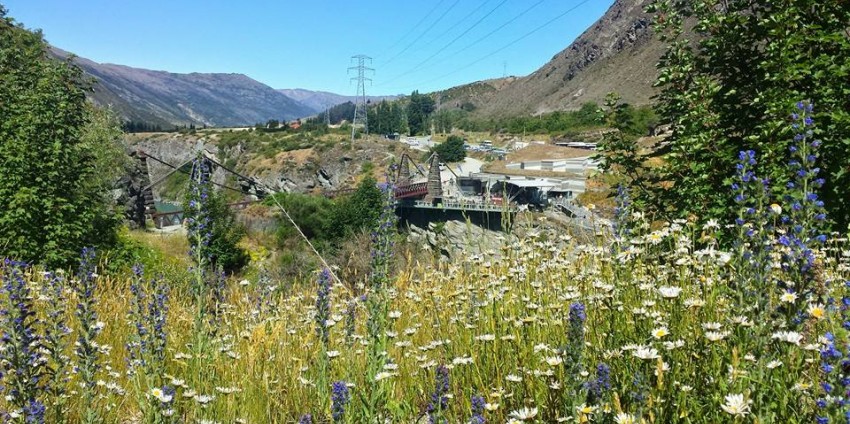 Bike Tours - Bike the Wineries