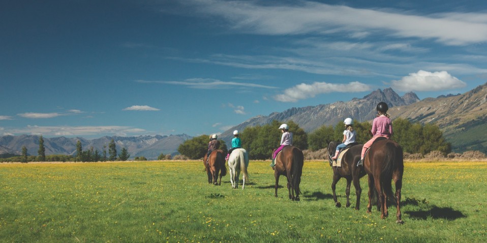 Dart River Wilderness Jet & Dart Stables Combo