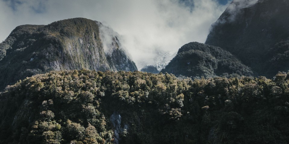 Doubtful Sound Wilderness Day Cruise from Queenstown - Real Journeys