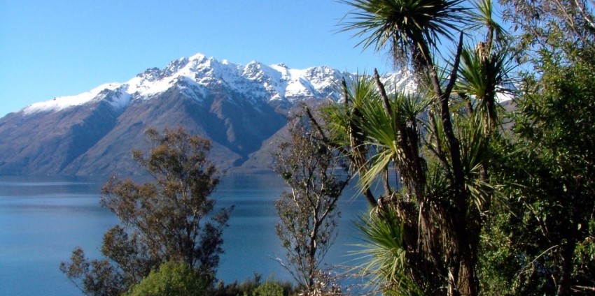 Guided Walks - Half Day Nature Walks