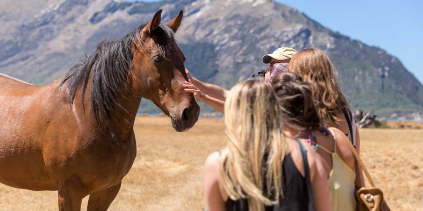 Lake Cruises - Spirit of Queenstown Scenic Cruise