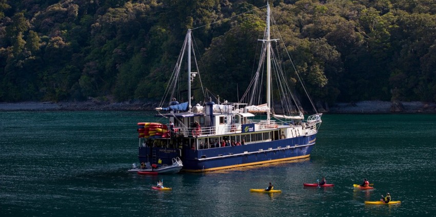 Milford Sound Overnight Cruise - Wanderer