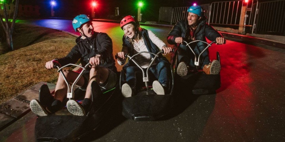 Skyline Gondola & Luge