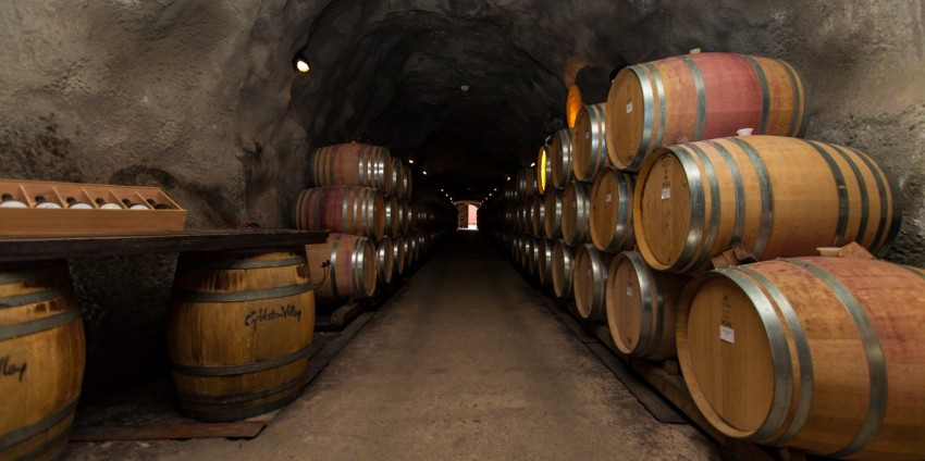 Wine Sampler Tour - Altitude Tours