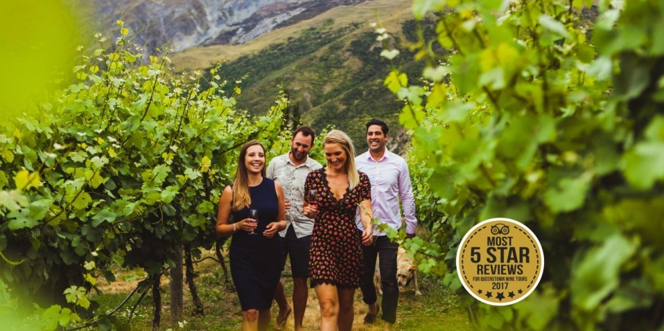 Wine Sampler Tour - Altitude Tours