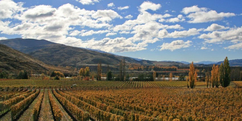 Wine Tours - Appellation Central Wine Tours