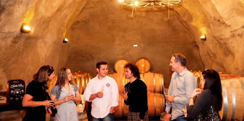Wine Tours - Queenstown Wine Trail
