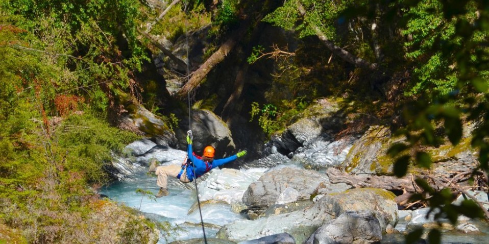 Ziplining - Paradise Ziplines
