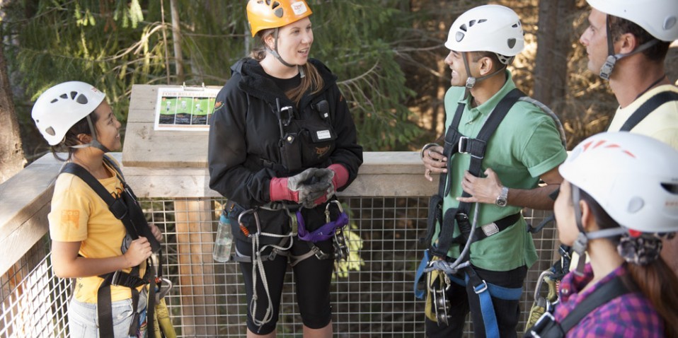Ziptrek Ecotours