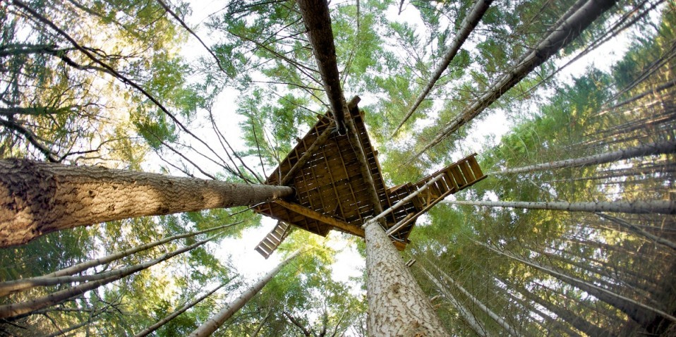 Ziptrek Ecotours