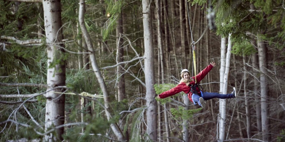 Ziptrek Ecotours